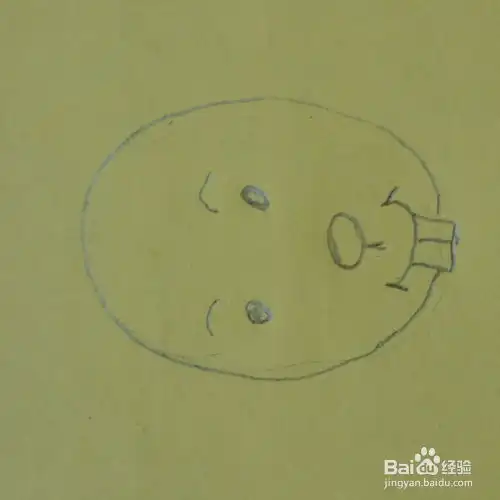儿童简笔画小兔子
