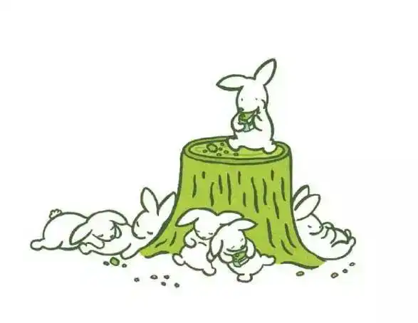 英文有声绘本丨bunnytails小兔子的尾巴
