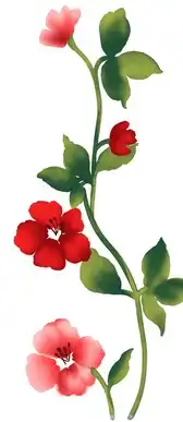 黑板报花边一束花
