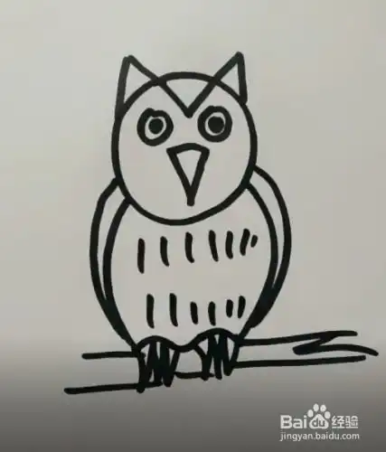 怎样简笔画猫头鹰
