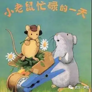 小老鼠忙碌的
