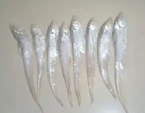 风尾小鱼怎么养

