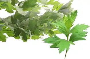 艾灸的升级变为传奇艾香颜香身艾宝

