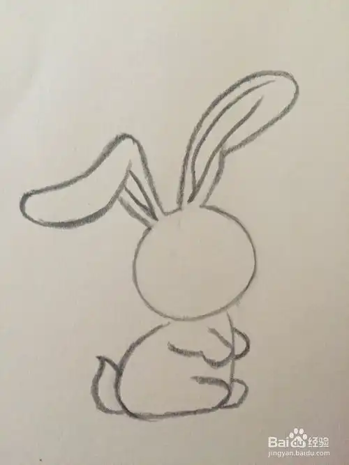 简笔画超萌兔子
