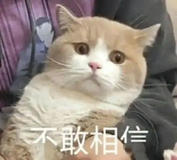 深圳雨后有大蜗牛出没专家提醒市民千万不要触碰或食用

