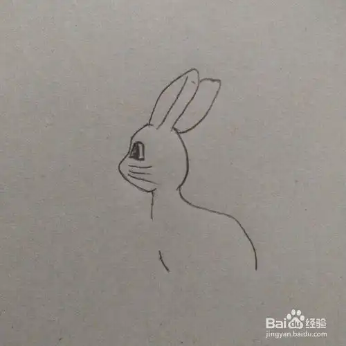 q版动画小兔子简笔画

