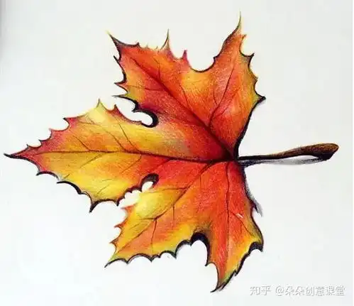 手绘涂鸦彩铅手绘枫叶的教程
