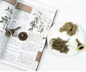 胡有宸了解艾草,传承艾灸
