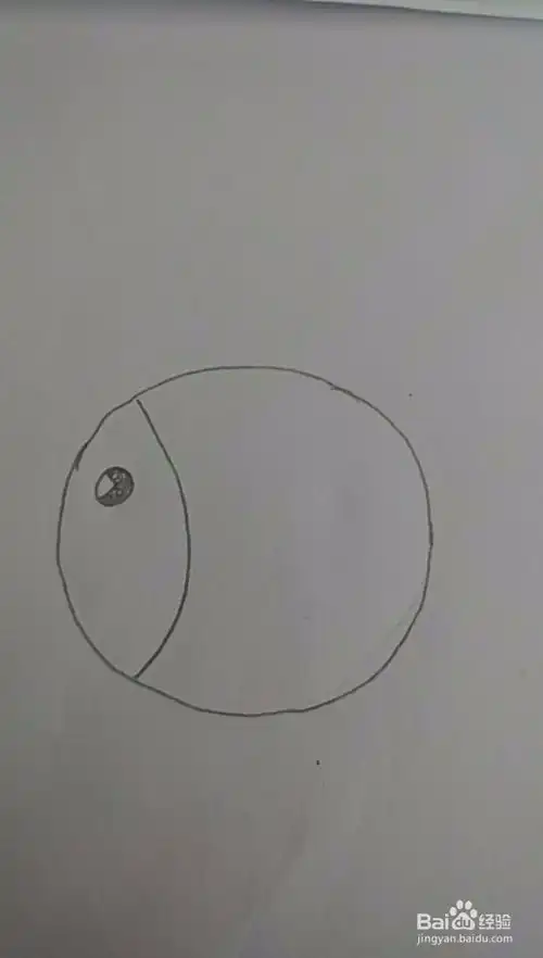 多妈简笔画用圆形来一条小鱼
