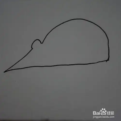 简笔画老鼠
