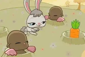小灰兔吃胡萝卜
