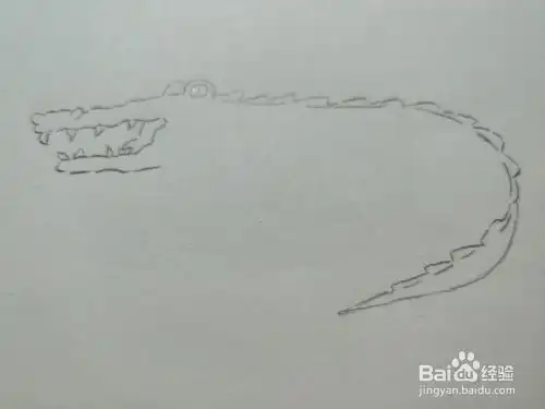 简笔画鳄鱼怎么画
