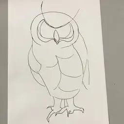 猫头鹰黑白插画过程
