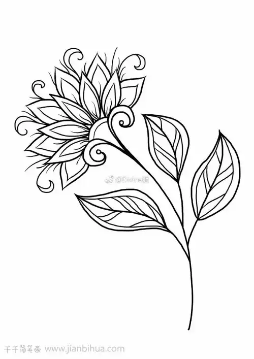 神秘花园简笔画
