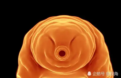 水熊虫能活到太阳毁灭科学家发现其致命弱点,高温下越久死得快
