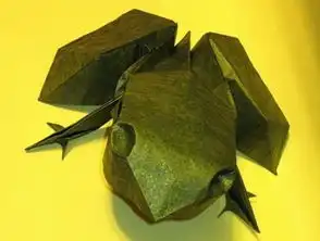 折青蛙方法图片
