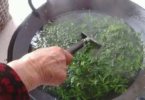 每天吃一个艾叶煮鸡蛋,坚持一段时间,或许3件好事不请自来
