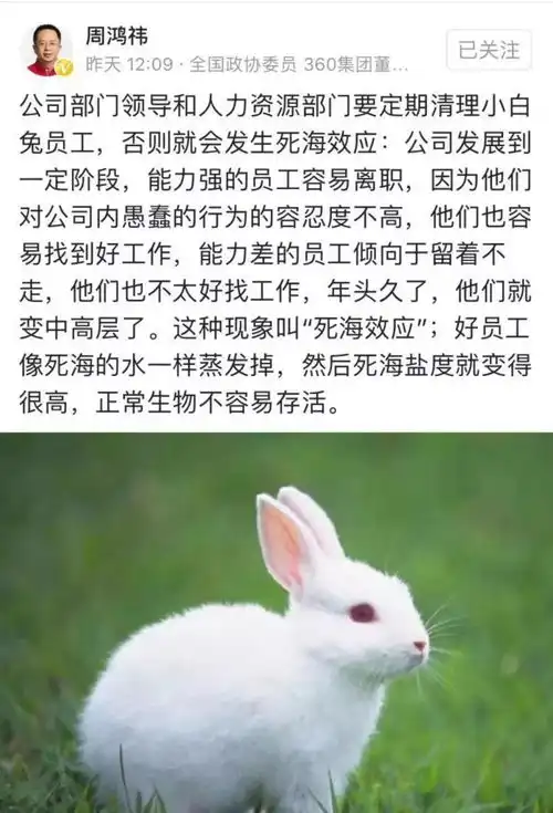 周鸿祎责令hr开除公司里的小白兔
