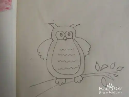 简笔画可爱的猫头鹰怎么画
