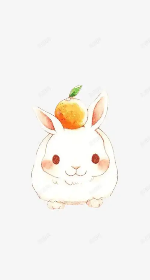 头顶橙子q萌小兔子平面电商创意素材动物素材
