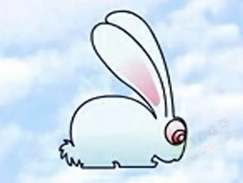 兔子简笔画兔子怎么画简笔画视频教程
