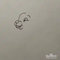 怎么画一只再草窝旁边蹲着的小兔子卡通简笔画
