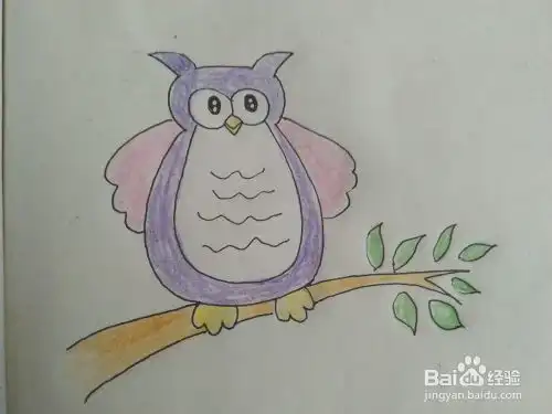 简笔画可爱的猫头鹰怎么画
