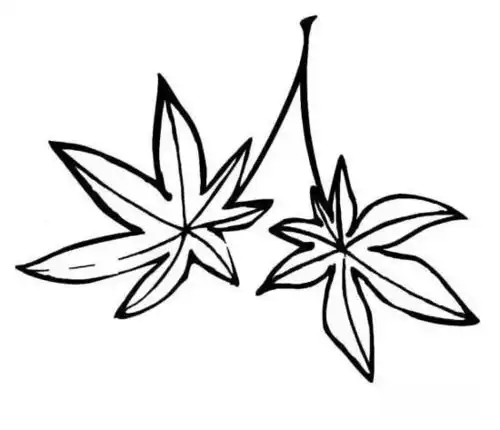 凤凰网点赞,浙工大叒上头条
