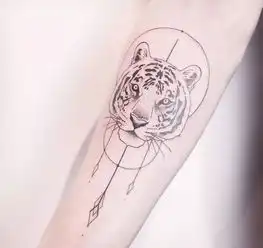 十二生肖系列虎

