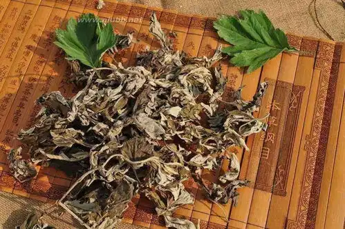 艾叶煮水洗头,缓解脱发失眠症
