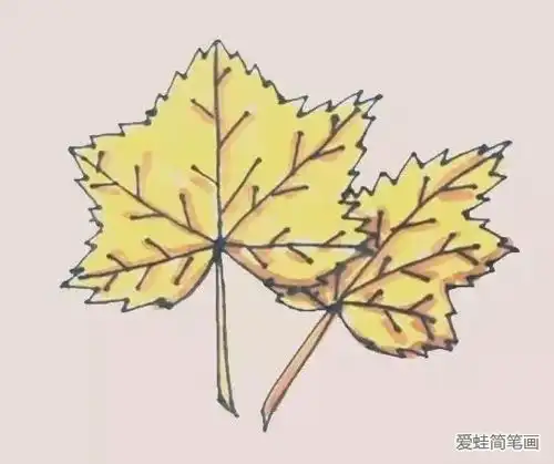 枫叶简笔画
