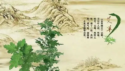 痛经有救了泰国变态暖宫贴,每天一贴,让你告别痛经烦恼
