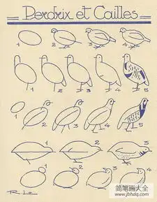 儿童简笔画卡通鸽子的画法图片步骤教程
