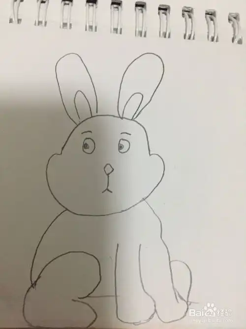 简笔画小兔子的画法

