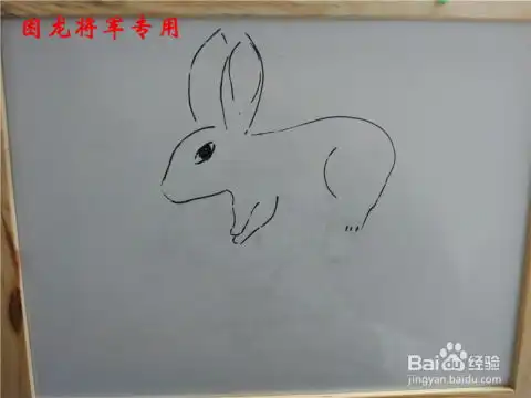 少儿简笔画小兔子
