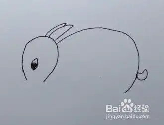 吃胡萝卜的小兔子,简笔画
