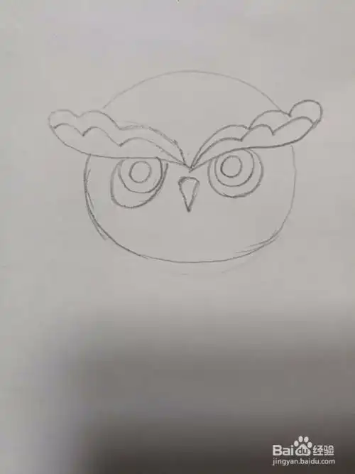 简笔画猫头鹰的画法
