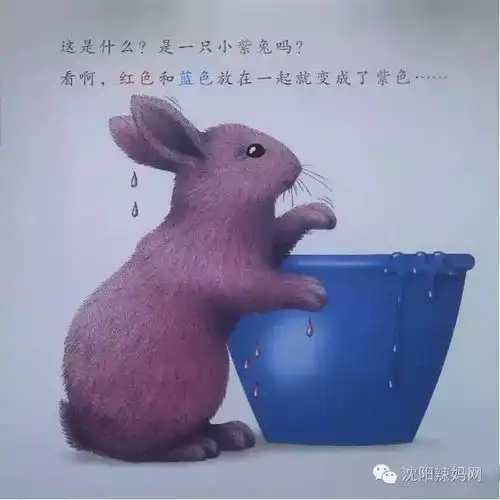 蒲公英系列小白兔玩颜色
