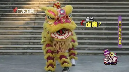 如果给你一次舞狮的机会,你会和他们一样吗
