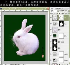 巧用cs3黑白命令抠出小白兔

