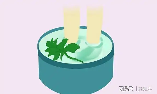 家有三年艾,郎中不用来,艾叶怎么用效果才最好很多人都在浪费
