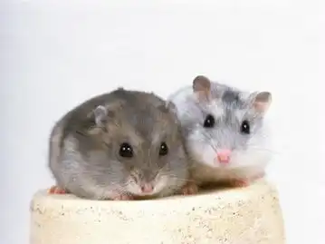 cctv.com
