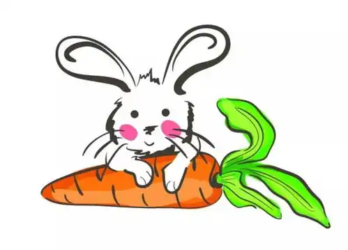 认识兔子
