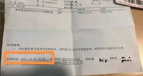 南航紧急通知沈阳飞往这些地方,需核酸检测报告
