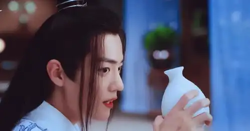 陈情共忘机100莲花坞,听到羡羡的一番话,蓝湛心中五味杂陈
