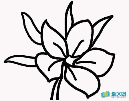 黑板报樱花简笔画
