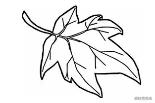 4种秋天枫叶的画法

