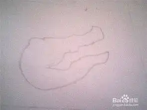 简笔画鳄鱼头的画法
