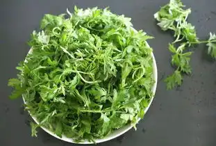 属于春天的味道,此时艾草胜人参内附使用说明
