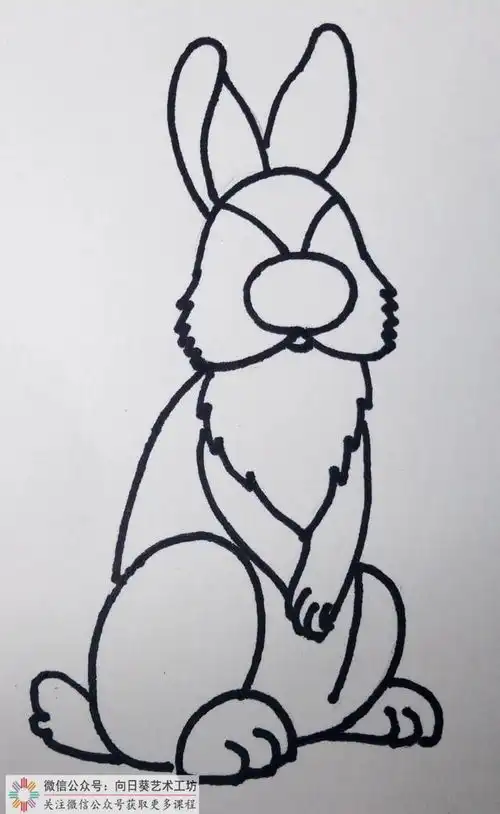 创意教程线描小兔子
